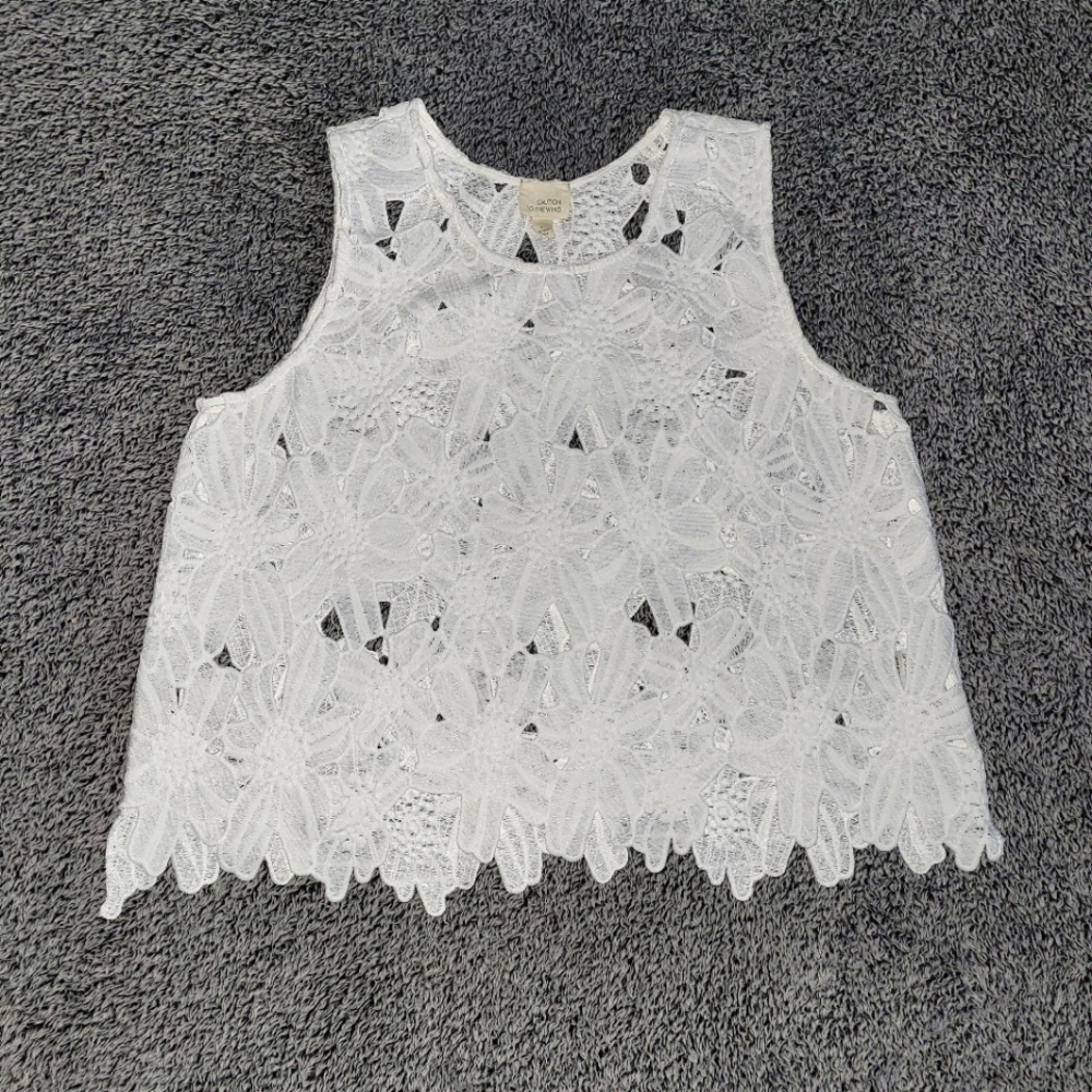 🎉3 for $25🎉 Caution to The Wind Crop- Tank Top, Sz. L, best fit M